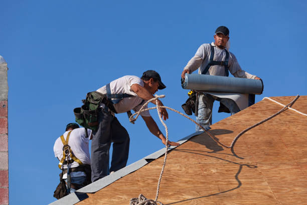 Best Storm Damage Roof Repair  in Scranton, PA